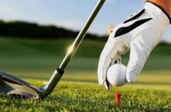 Ставки на спорт в 1Win и 1xBet Полный обзор, коэффициенты и советы для бетторов